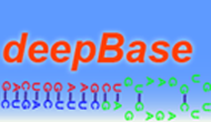 deepBase
