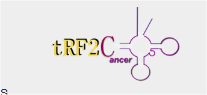 tRF2Cancer